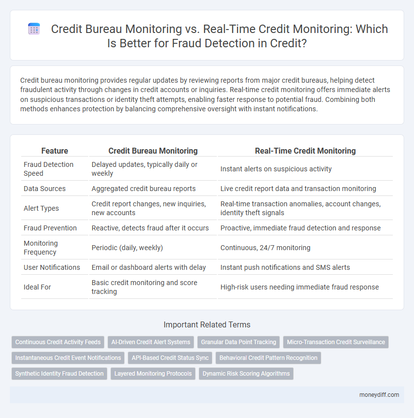 Credit Bureau Monitoring vs. Real-Time Credit Monitoring: Which Is Better for Fraud Detection in Credit?