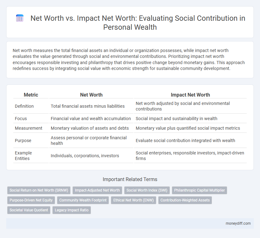 Net Worth vs. Impact Net Worth: Evaluating Social Contribution in Personal Wealth