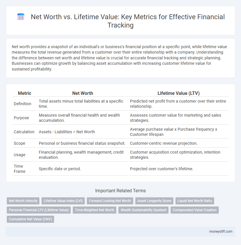 Net Worth vs. Lifetime Value: Key Metrics for Effective Financial Tracking