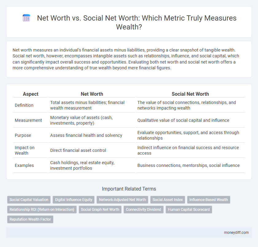 Net Worth vs. Social Net Worth: Which Metric Truly Measures Wealth?
