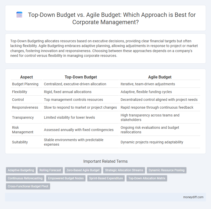 Top-Down Budget vs. Agile Budget: Which Approach is Best for Corporate Management?