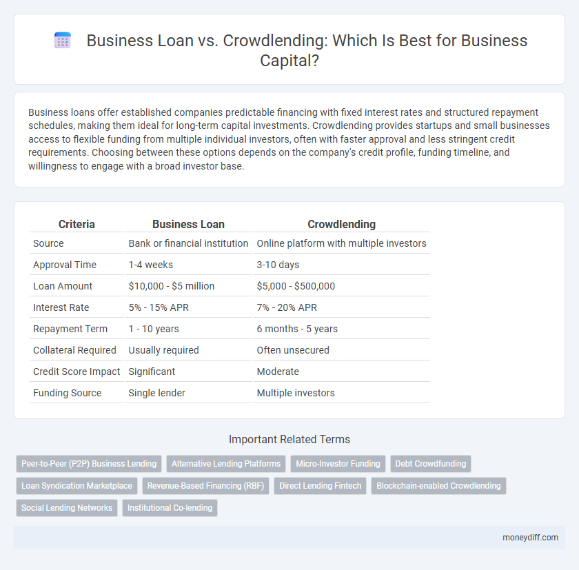 Business Loan vs. Crowdlending: Which Is Best for Business Capital?
