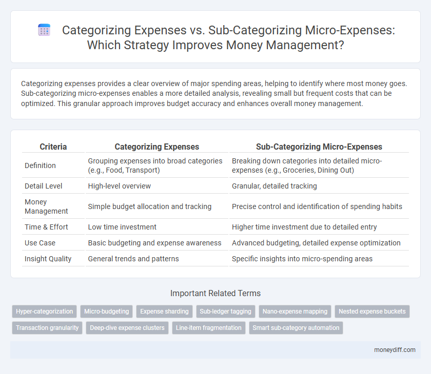 Categorizing Expenses vs. Sub-Categorizing Micro-Expenses: Which Strategy Improves Money Management?