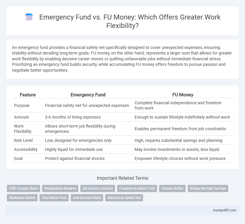 Emergency Fund vs. FU Money: Which Offers Greater Work Flexibility?