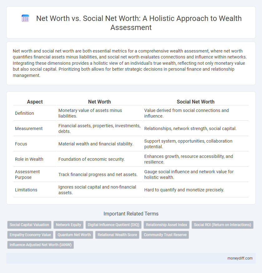 Net Worth vs. Social Net Worth: A Holistic Approach to Wealth Assessment