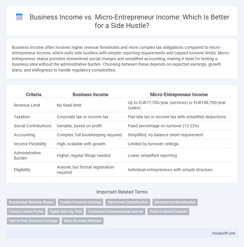 Business Income vs. Micro-Entrepreneur Income: Which Is Better for a Side Hustle?
