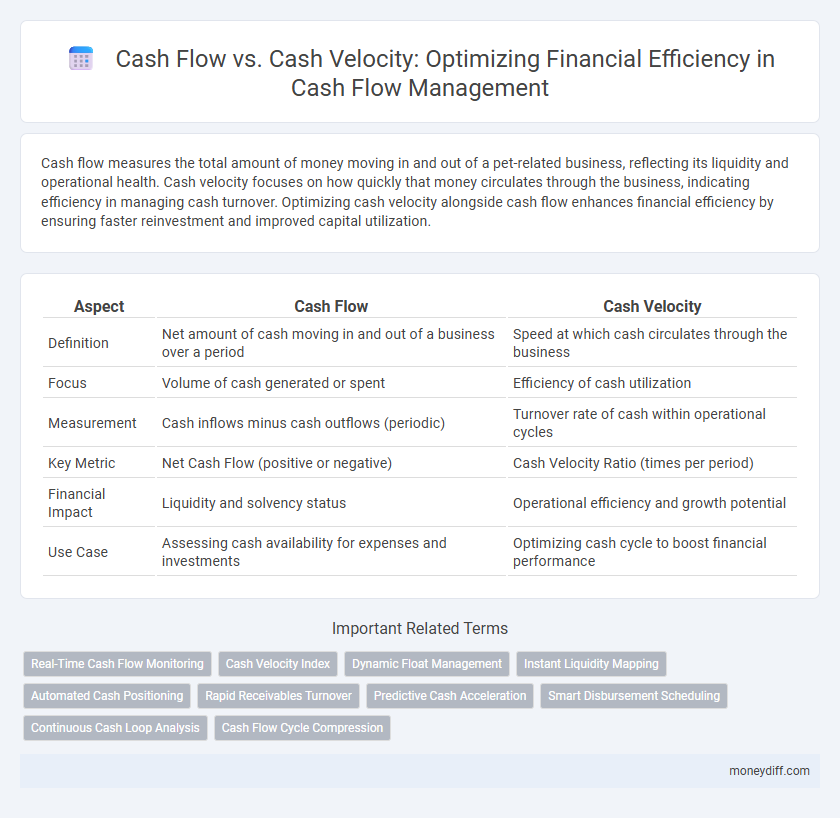 Cash Flow vs. Cash Velocity: Optimizing Financial Efficiency in Cash Flow Management