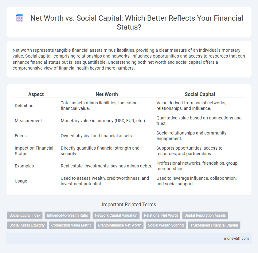 Net Worth vs. Social Capital: Which Better Reflects Your Financial Status?