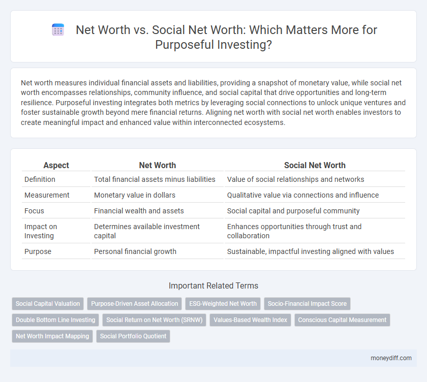 Net Worth vs. Social Net Worth: Which Matters More for Purposeful Investing?