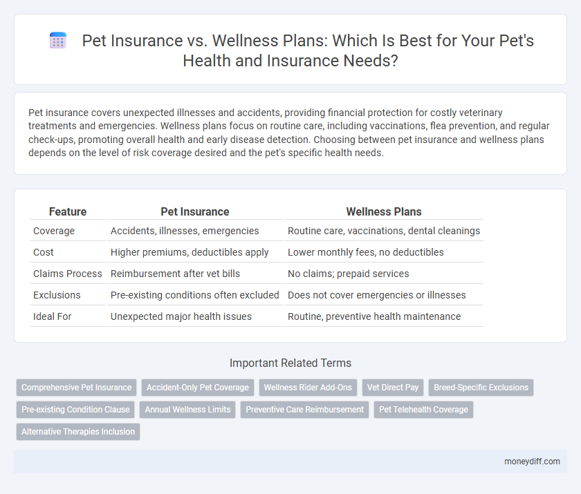 Pet Insurance vs. Wellness Plans: Which Is Best for Your Pet's Health and Insurance Needs?