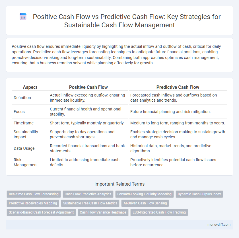 Positive Cash Flow vs Predictive Cash Flow: Key Strategies for Sustainable Cash Flow Management