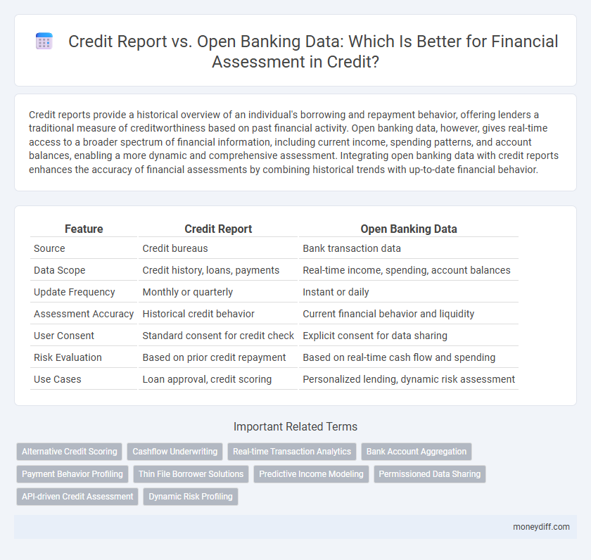 Credit Report vs. Open Banking Data: Which Is Better for Financial Assessment in Credit?