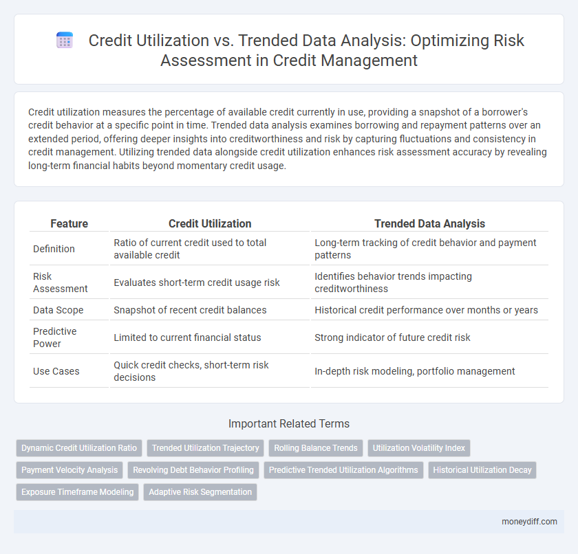 Credit Utilization vs. Trended Data Analysis: Optimizing Risk Assessment in Credit Management