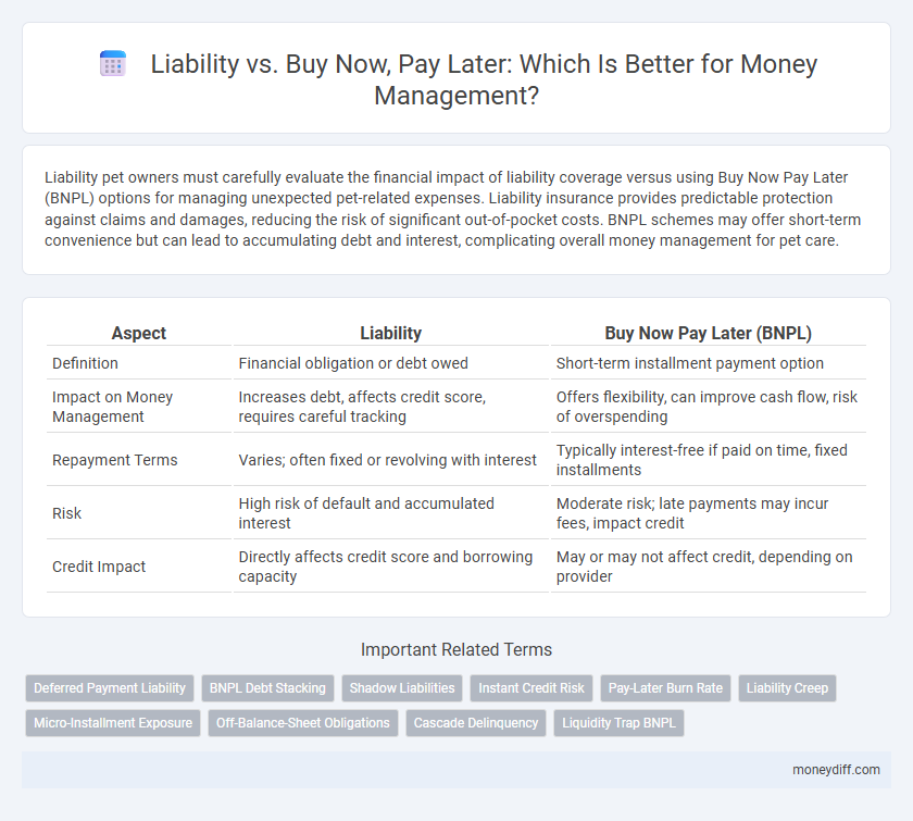 Liability vs. Buy Now, Pay Later: Which Is Better for Money Management?
