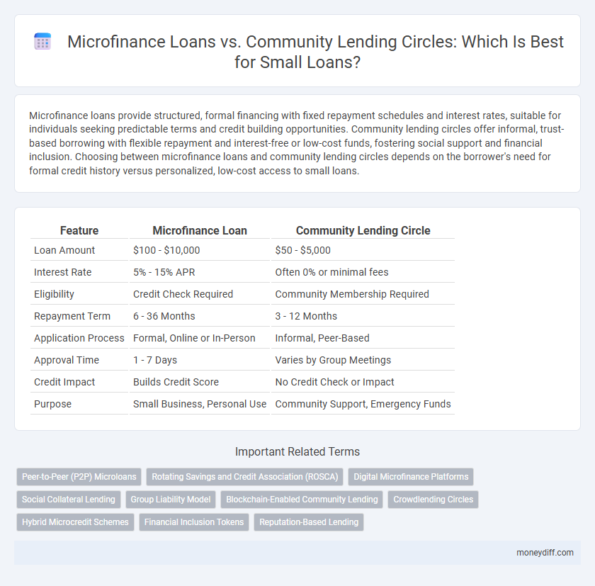 Microfinance Loans vs. Community Lending Circles: Which Is Best for Small Loans?