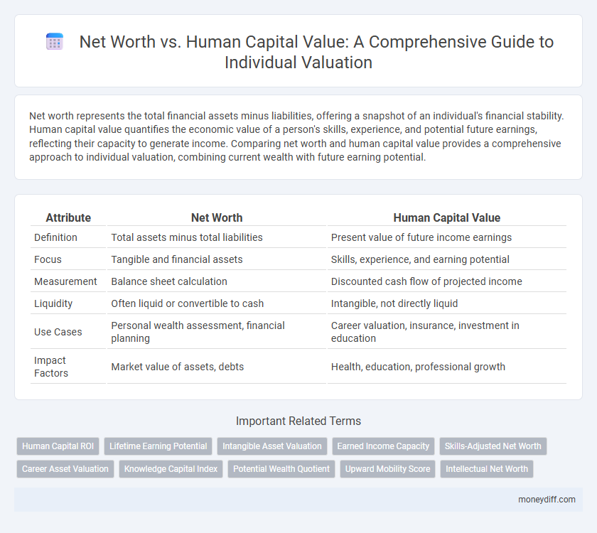 Net Worth vs. Human Capital Value: A Comprehensive Guide to Individual Valuation