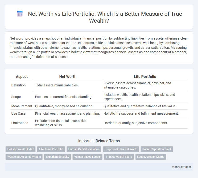 Net Worth vs Life Portfolio: Which Is a Better Measure of True Wealth?