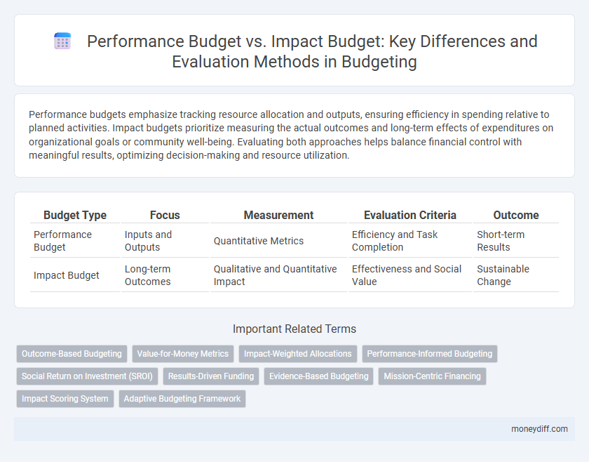 Performance Budget vs. Impact Budget: Key Differences and Evaluation Methods in Budgeting
