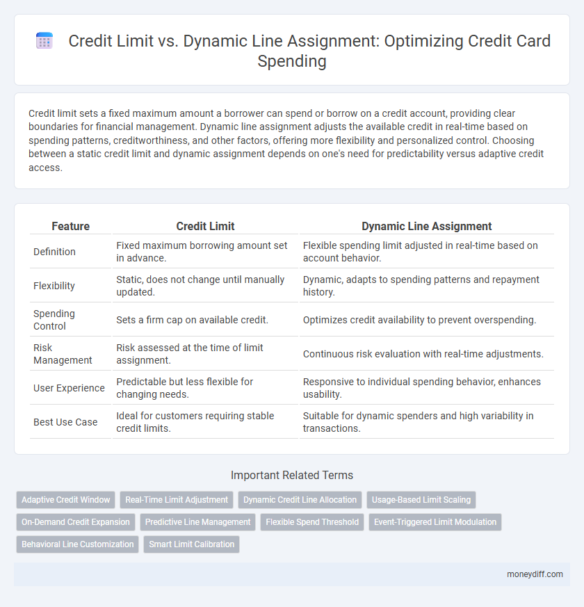 Credit Limit vs. Dynamic Line Assignment: Optimizing Credit Card Spending