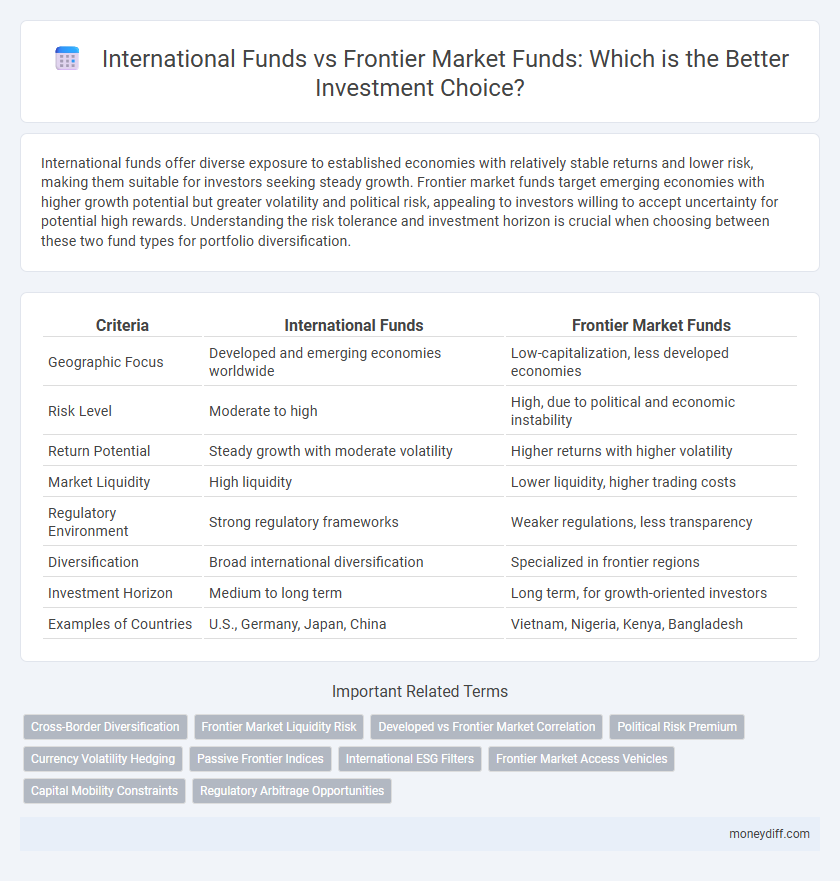 International Funds vs Frontier Market Funds: Which is the Better Investment Choice?