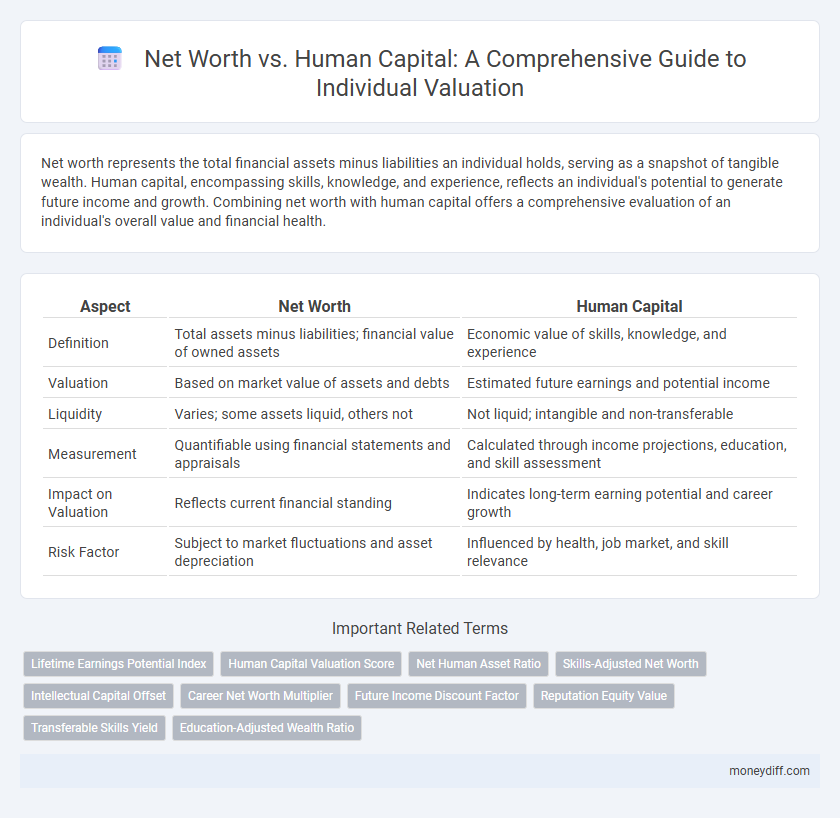 Net Worth vs. Human Capital: A Comprehensive Guide to Individual Valuation