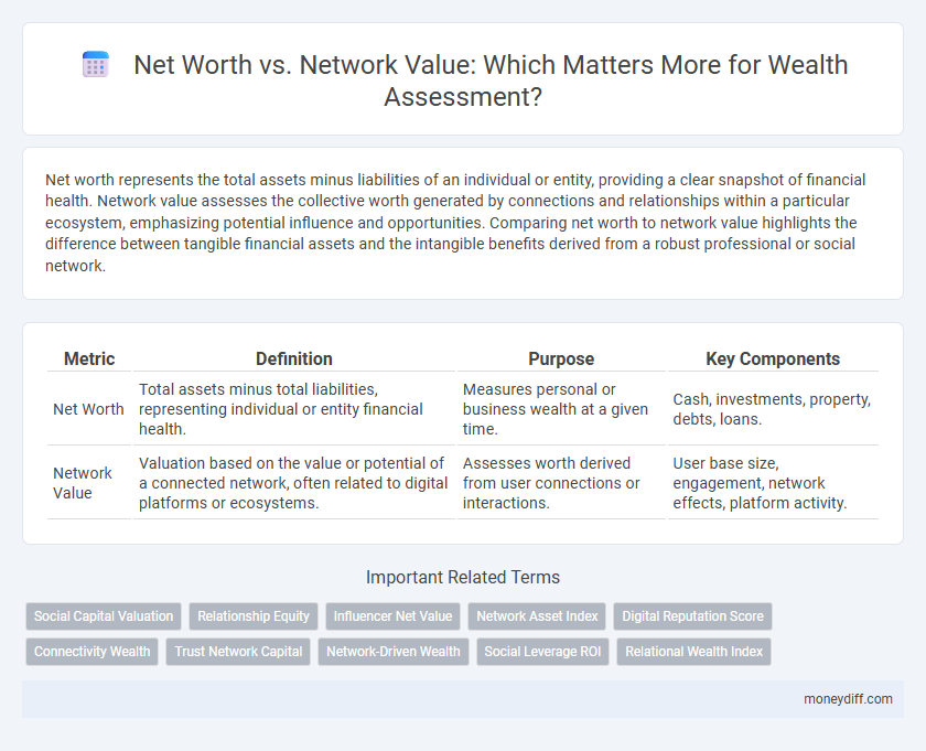 Net Worth vs. Network Value: Which Matters More for Wealth Assessment?