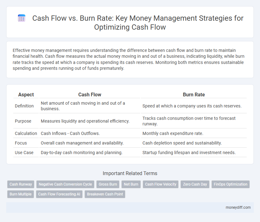 Cash Flow vs. Burn Rate: Key Money Management Strategies for Optimizing Cash Flow