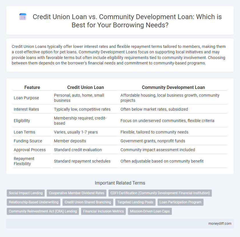Credit Union Loan vs. Community Development Loan: Which is Best for Your Borrowing Needs?