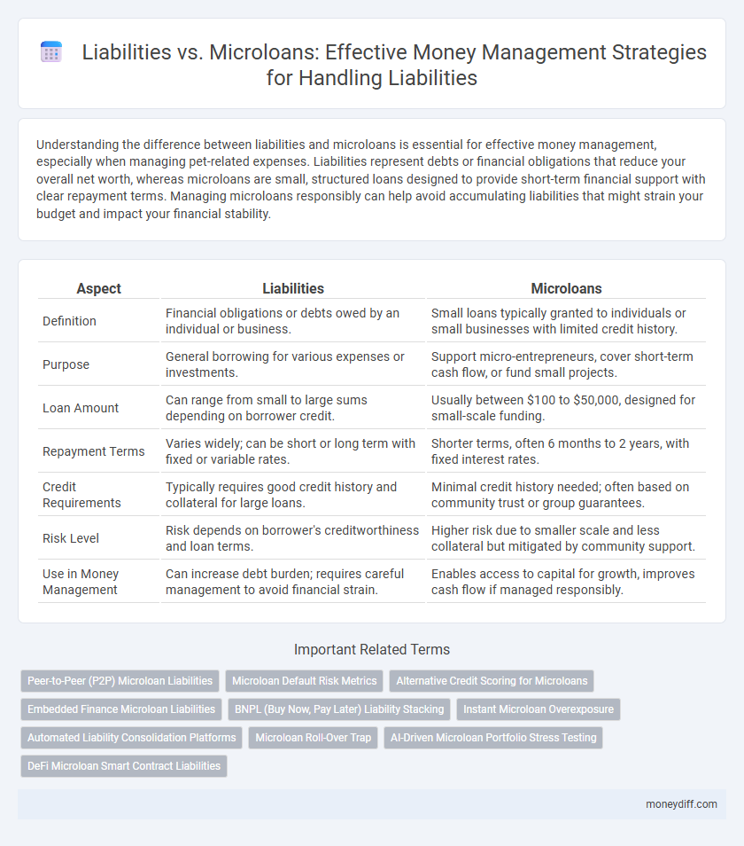 Liabilities vs. Microloans: Effective Money Management Strategies for Handling Liabilities
