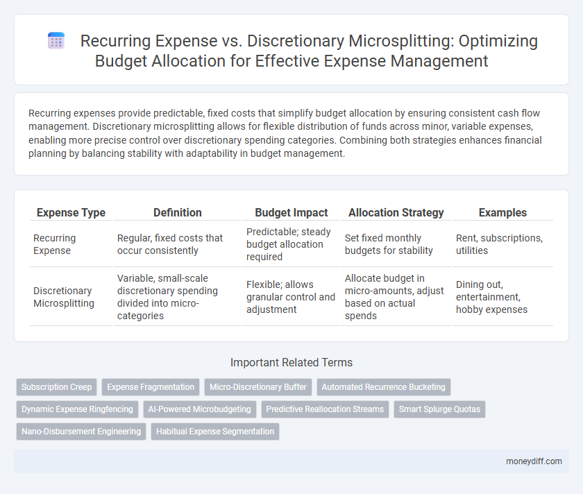 Recurring Expense vs. Discretionary Microsplitting: Optimizing Budget Allocation for Effective Expense Management