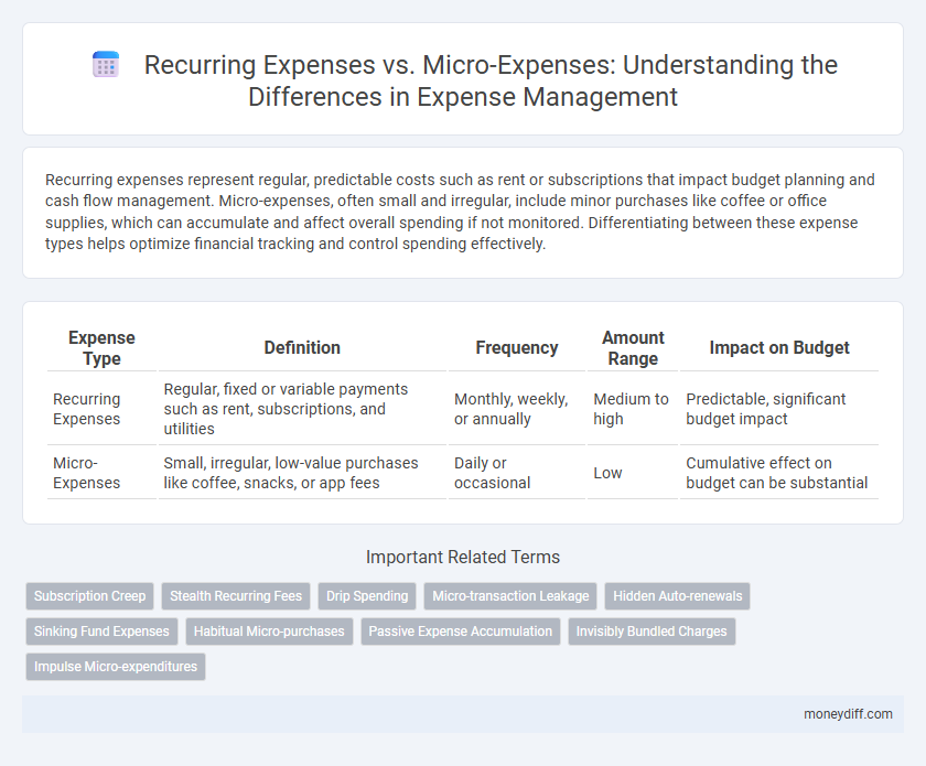 Recurring Expenses vs. Micro-Expenses: Understanding the Differences in Expense Management