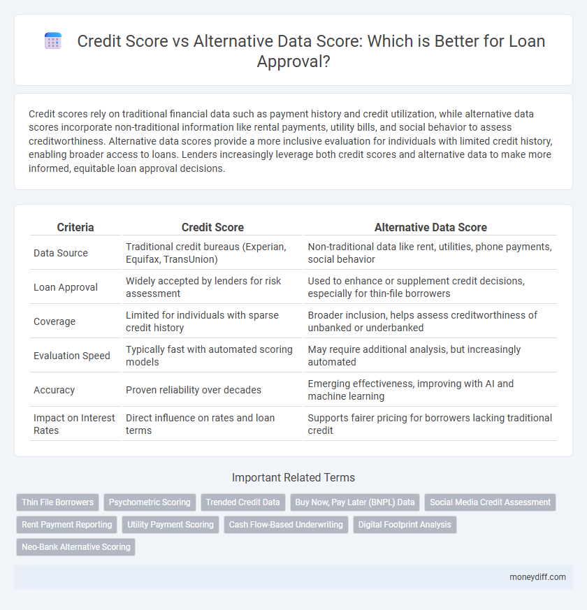Credit Score vs Alternative Data Score: Which is Better for Loan Approval?