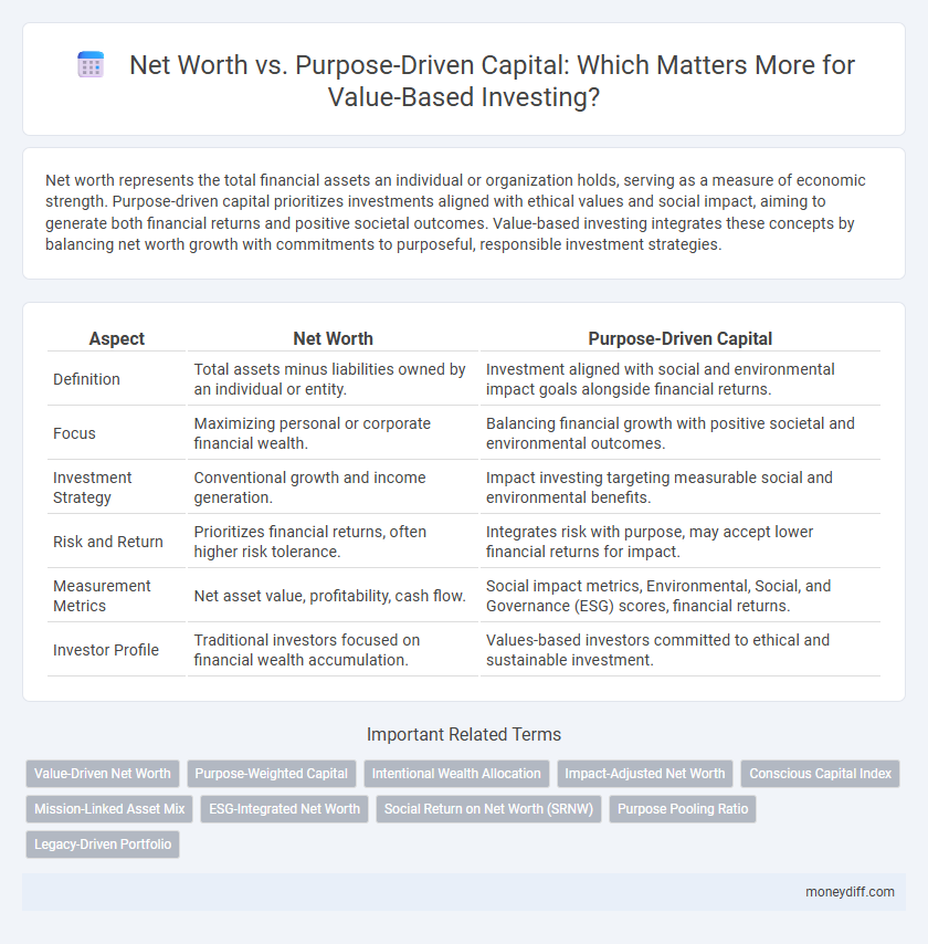 Net Worth vs. Purpose-Driven Capital: Which Matters More for Value-Based Investing?