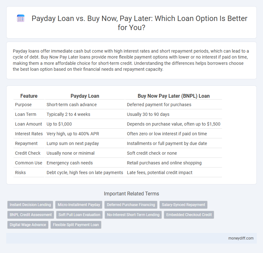 Payday Loan vs. Buy Now, Pay Later: Which Loan Option Is Better for You?